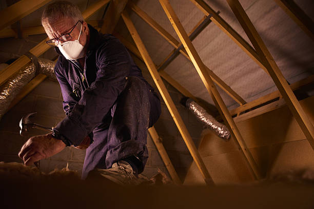 Best Types of Insulation in Solana Beach, CA